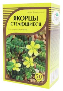 Якорцы стелющиеся Хорст 50г
