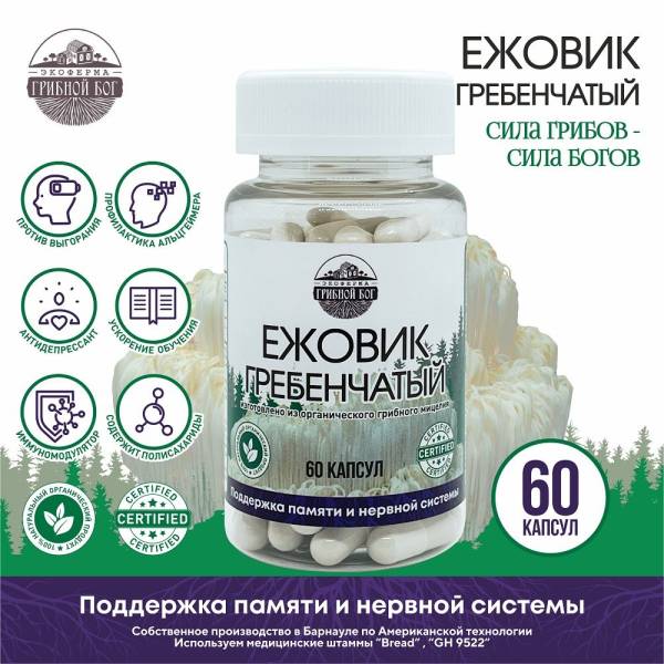 Изображение товара Ежовик Гребенчатый мицелий Грибной Бог №60 Ежовик Гребенчатый мицелий Грибной Бог №60 фотография